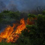 home hardening wildfire mitigation discount