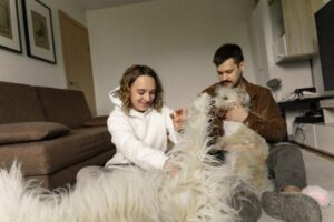 Renters Insurance for Pet Owners: What’s Covered and Excluded
