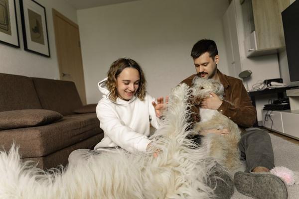 renters insurance for pet owners